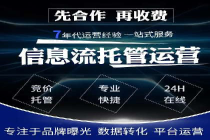 深度解析：SEM竞价优化提升ROI的案例
